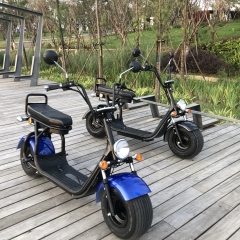 Citycoco in Holland 12 Inch 2000w City Coco electric skateboard scooter/electric Fat Bike/ Mini Kids Adults Electric Motorcycle